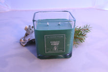 Load image into Gallery viewer, A 22oz endless forest themed dnd candle from the Wayside Wizard. Birch bark shavings and a small pine branch clipping is tucked behind the jar. The label reads: "The Wayside Wizard", "Endless Forest", "hand-poured soy wax candles"