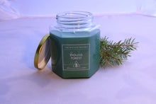 Load image into Gallery viewer, A wayside wizard themed dnd candle. It is a 16oz hexagonal jar filled with green wax. The label reads: &quot;The Wayside Wizard&quot;, &quot;Endless Forest&quot;, &quot;hand-poured soy wax candles&quot;. A small clipping of a pine branch is tucked behind the candle jar. 
